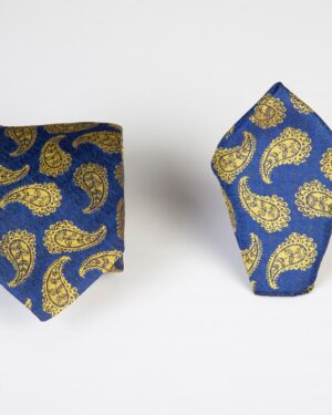 Classic Paisley Tie
