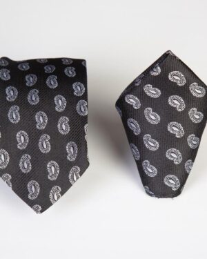 Classic Paisley Tie